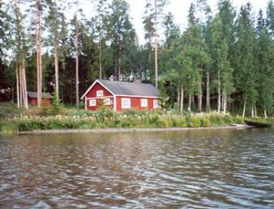 SEPELKYYHKY, Seeteri