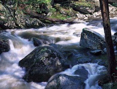 Рыбалка на порогах Hilmonjoki.