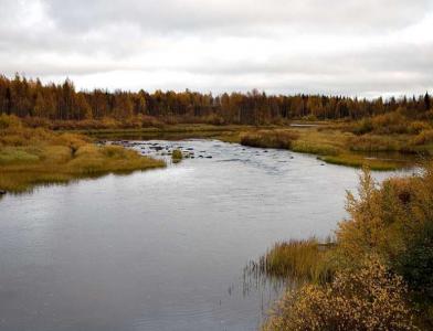 Река Käsmänjoki