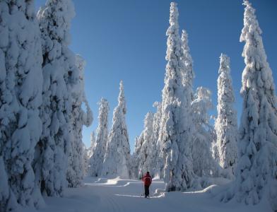 Куусамо (Kuusamo, Ruka)