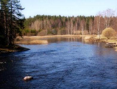 Рыбалка на порогах Kymönkoski