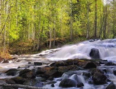 Рыбалка на порогах Rutajoki